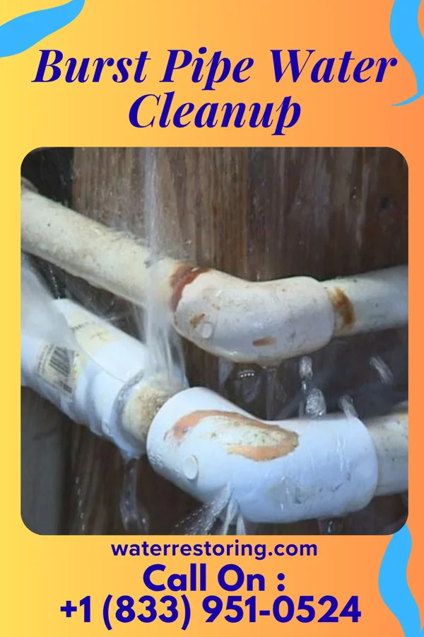 Burst Pipe Water Cleanup in Laconia, IN