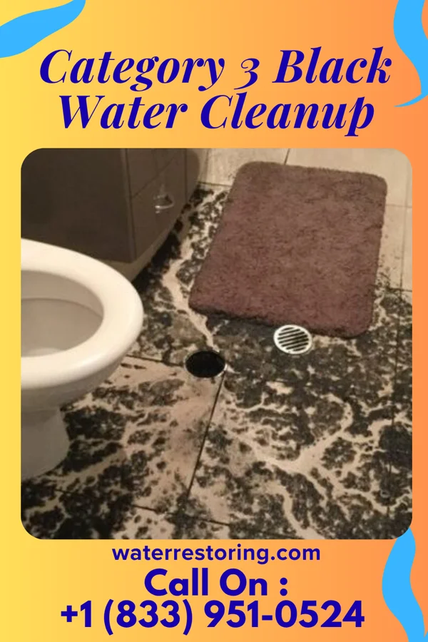 Category 3 Black Water Cleanup in Laconia, IN