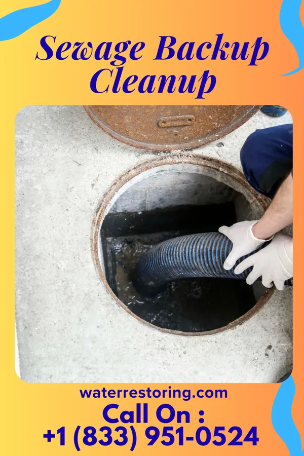 Sewage Backup Cleanup in Laconia, IN